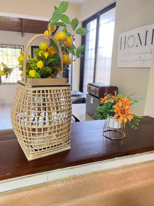 プエルト・プラタLa Casa De Mama Luzアパートメント エクステリア 写真