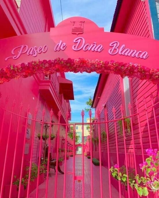 プエルト・プラタLa Casa De Mama Luzアパートメント エクステリア 写真