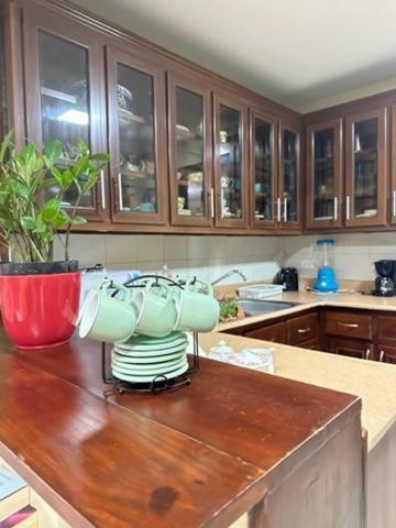 プエルト・プラタLa Casa De Mama Luzアパートメント エクステリア 写真